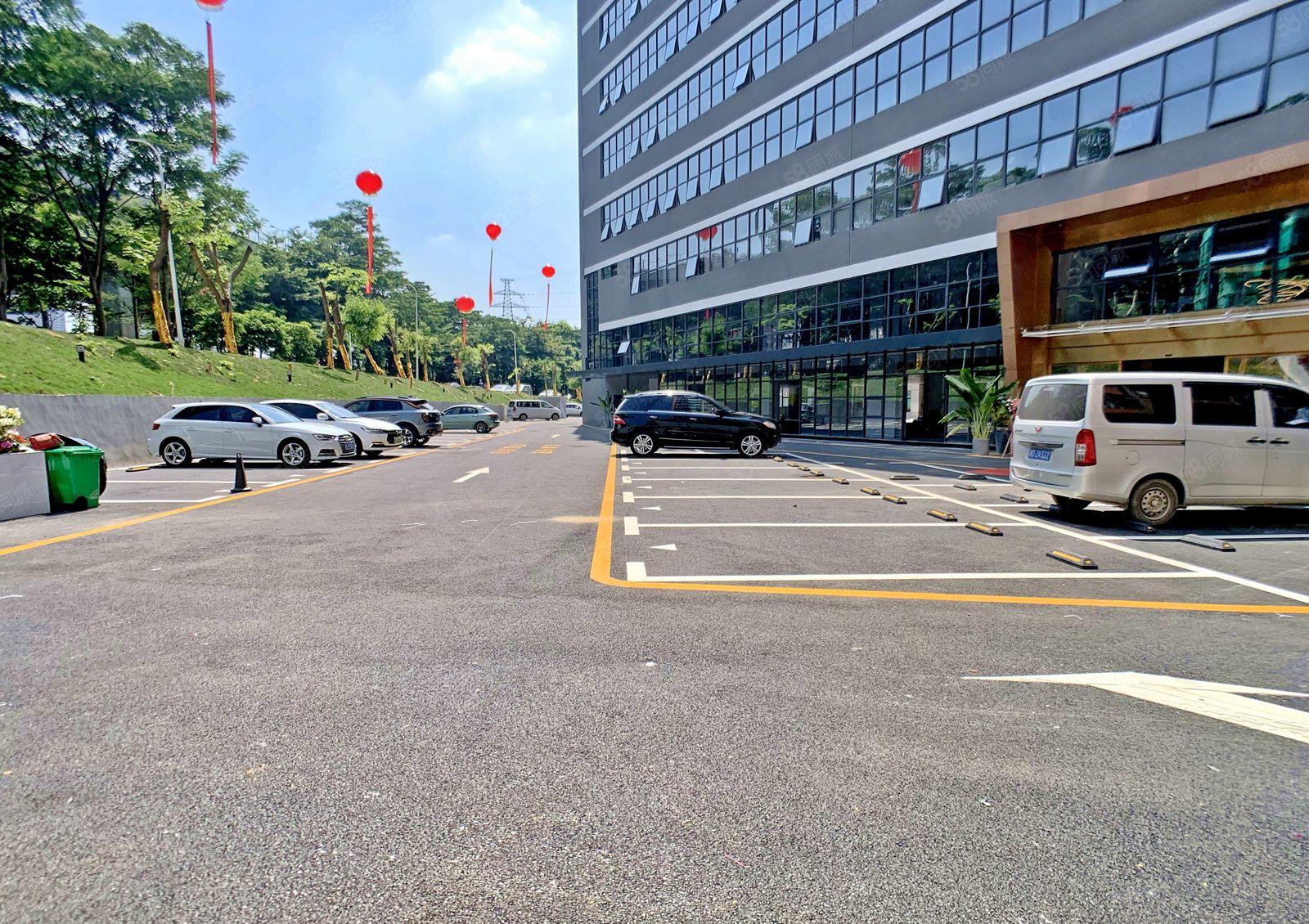 西丽留仙洞 新出643平方精装 特价3W 含管理费