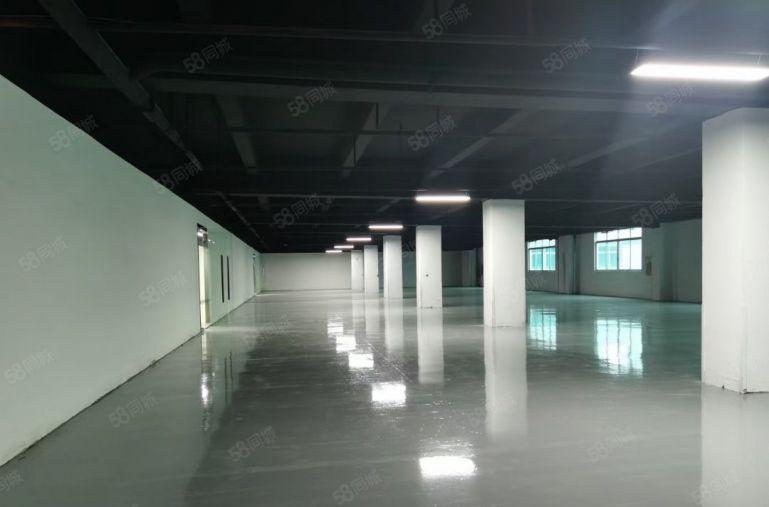 南山西丽有厂房出租 租金28每平 1500平至3000平可分