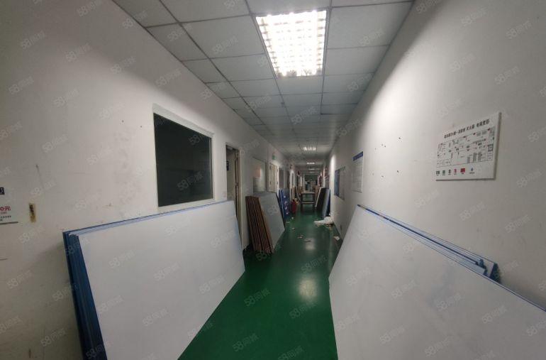 观澜1到5层2150平每层带装修大小可分租，