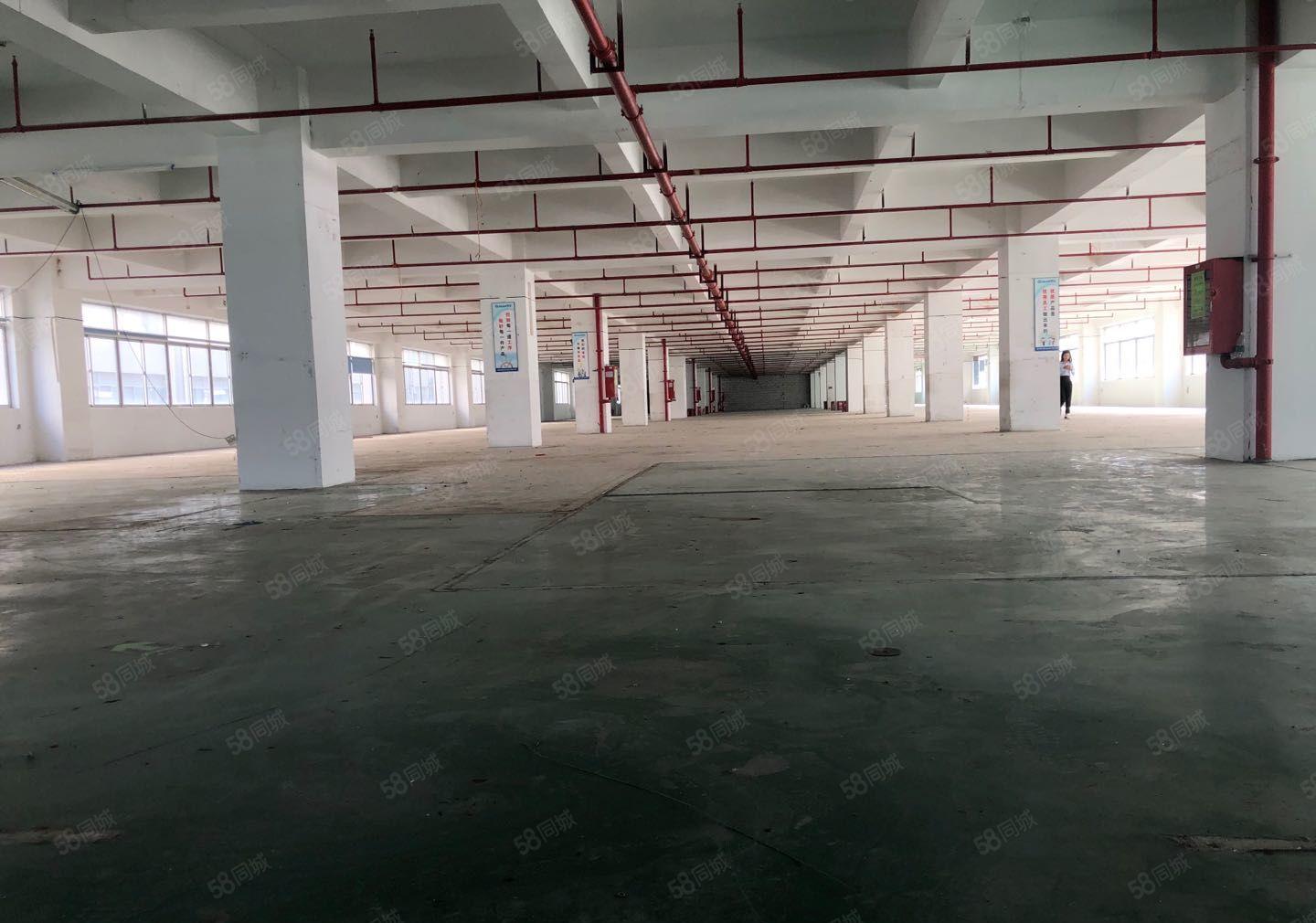 光明享受政府补贴厂房出租红本一楼仓库出租可分租原房东独门独院