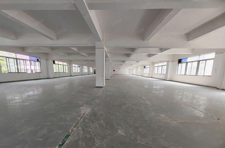 南山西丽高新园区原房东一整层厂房1200平出租500平起分租