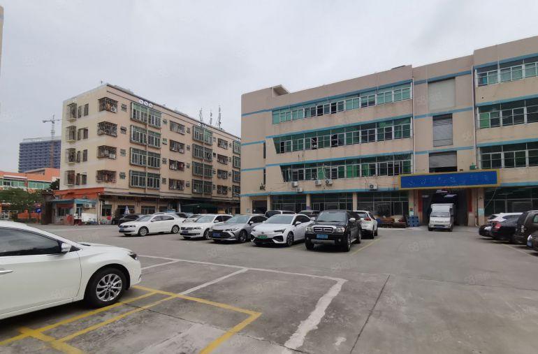 西丽百旺创园原房东独院7800平整层1350平至办公厂房出租