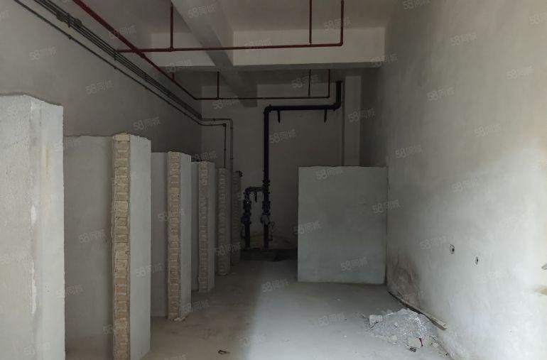 一手业主直租南山科技园1250平方现成游泳馆 适合集训基地