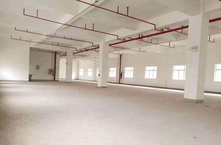 龙华主干道独院红本厂房出租5万平方共三栋适合教育培训展厅电商