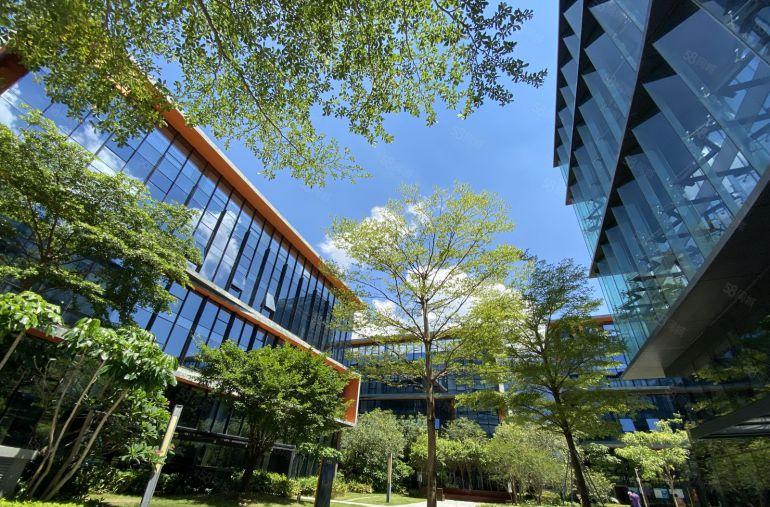 带红本南山西丽地铁口文创园新出300平精装修办公仓库厂房出租