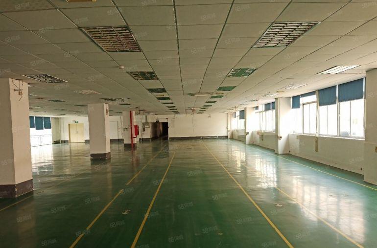 横岗六约地铁口原房东红本2000平厂房出租分租带装修可办环评