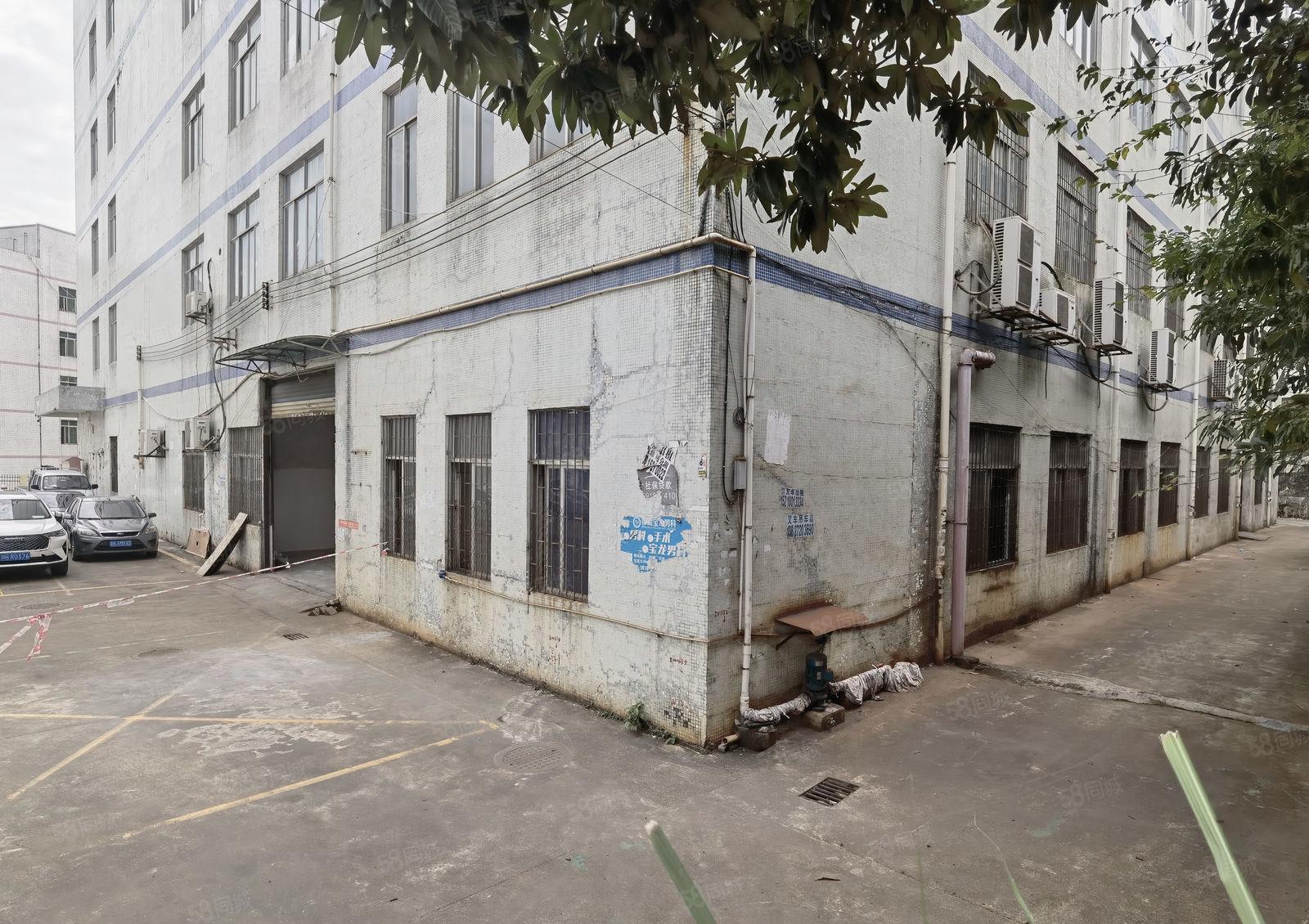 南山西丽 原房东厂房出租 一楼厂房出租 950平停车非常方便