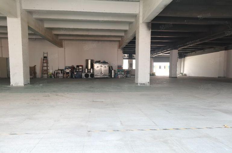 西丽大磡科技园900平可生产仓库仅租27元配电车位充足