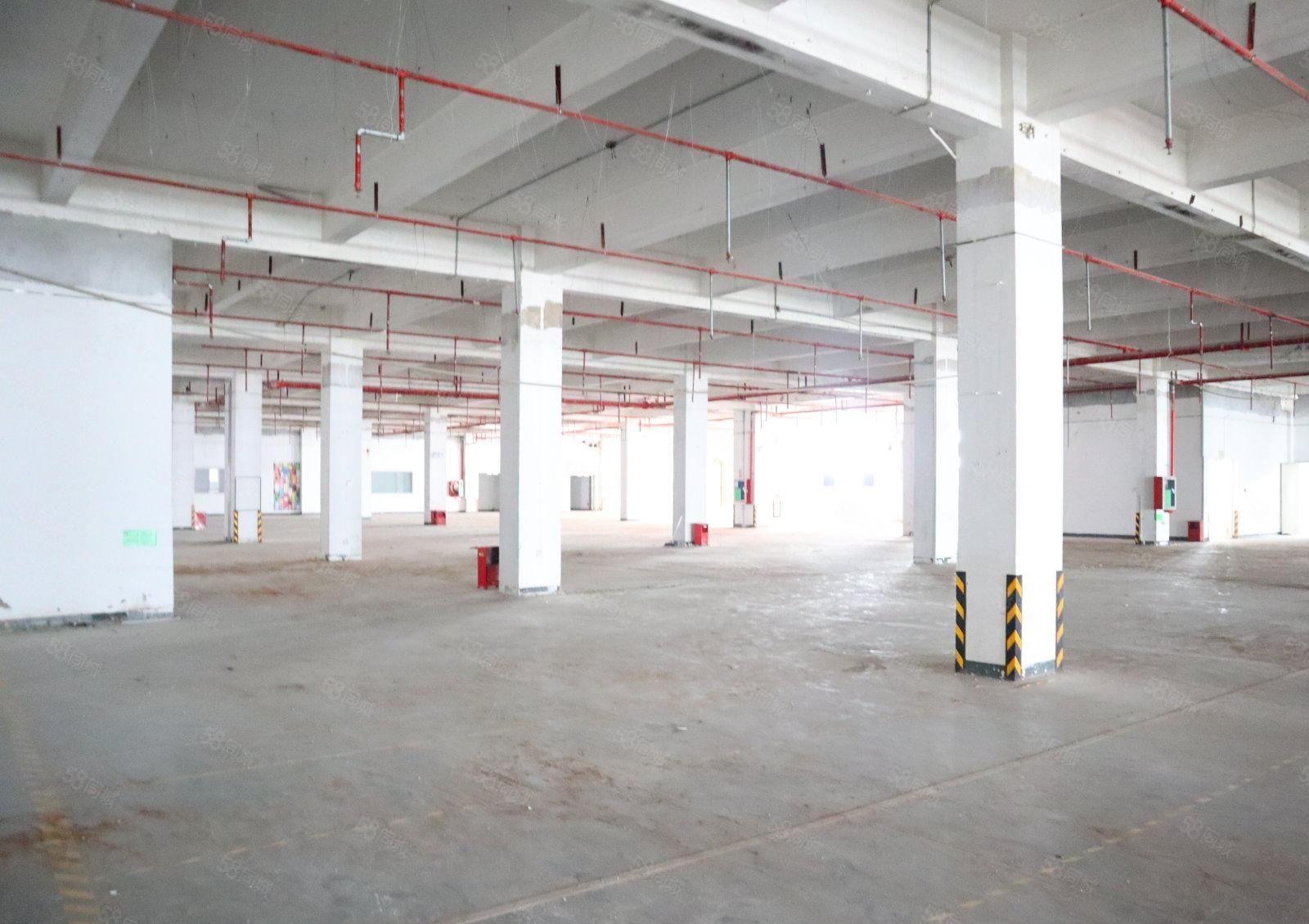 南山松白路原房东大面积百旺创意工厂停车位充足4000平可分