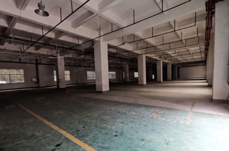 深圳周边东莞500起分租高薪厂房仓库办公室5万平工业园出租