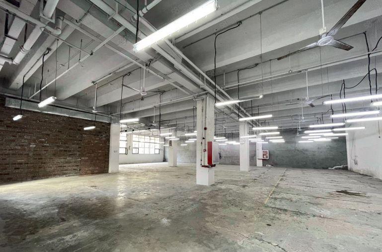 南油蛇口一楼层高6米适合服装仓库物流配送等行业特价