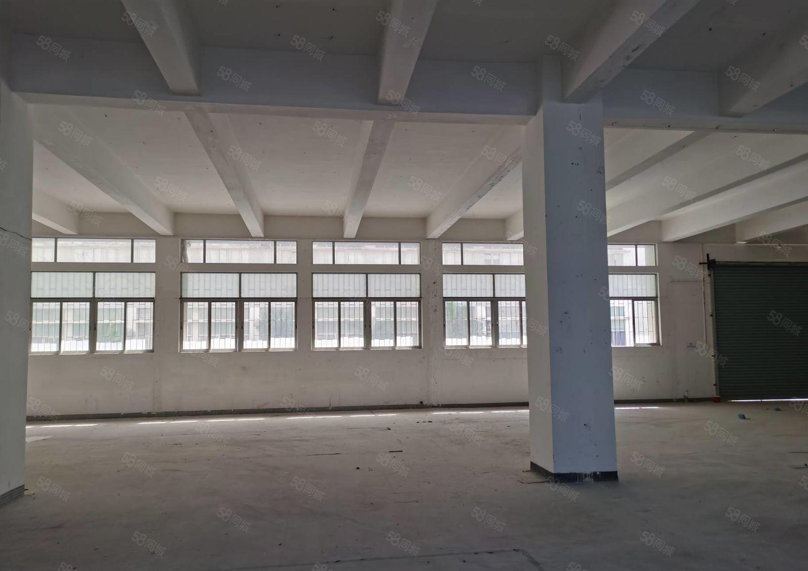 蛇口地铁海上世界地站独门独院3400平出租适合总部办公