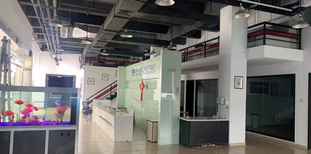 蛇口海上世界一楼769平临街商铺展厅，教育，摄影，直播