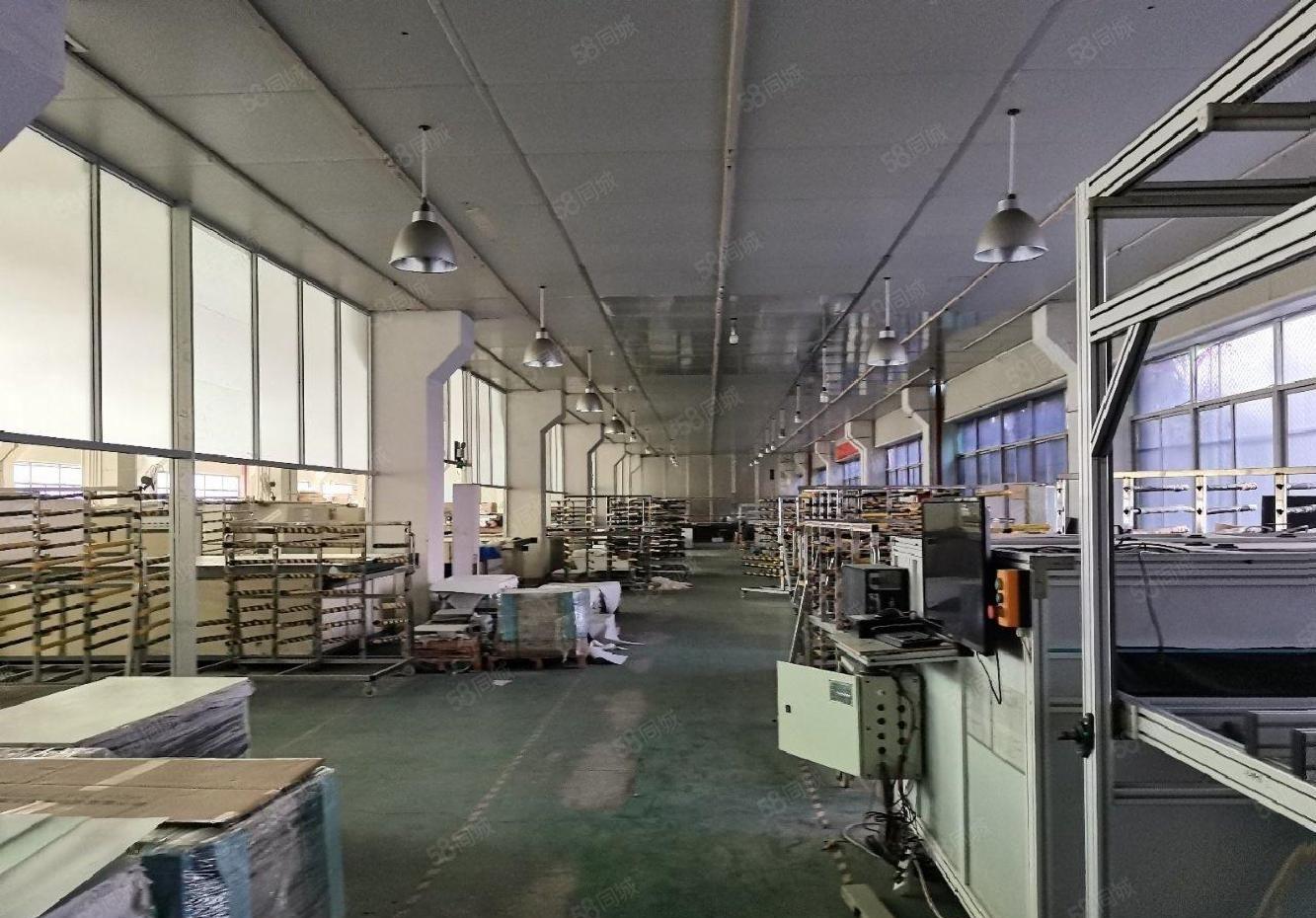 公明原房东高新园区在红本厂房独栋一楼一整层1800平方