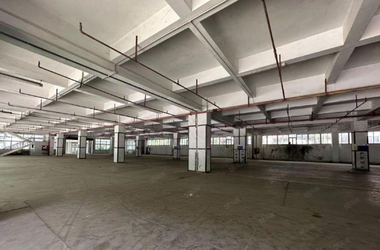 龙华元芬原房东红本厂房仓库办公室出租空地大好停可分租