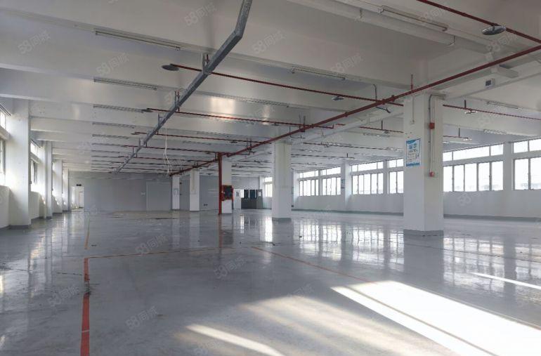 南山西丽科学城厂房整层1070平，仅租29元。停车便利