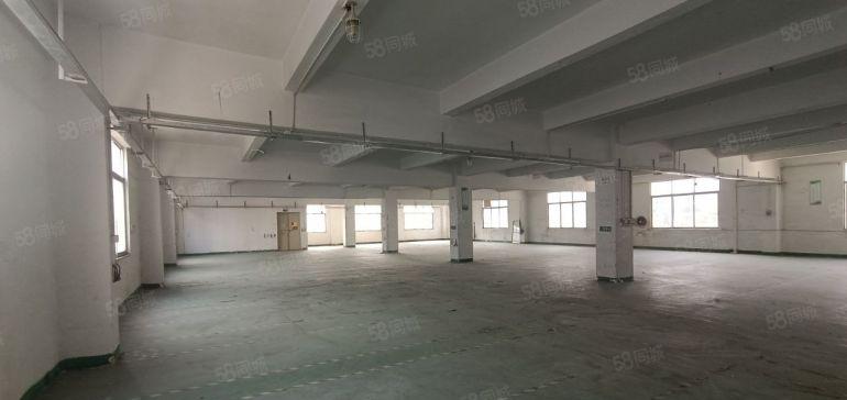 南山  西丽  独门独院招租 整栋四层面积4800平