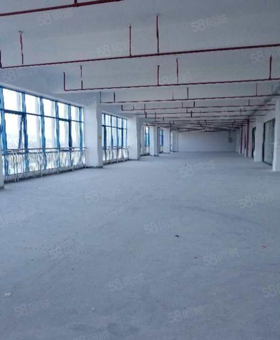 10元起租独立厂房3500平米出租，可分租