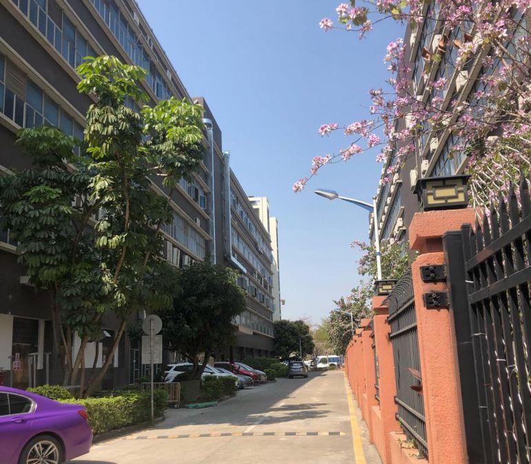 坂田天安云谷旁楼上1000平米厂房出租，带装修