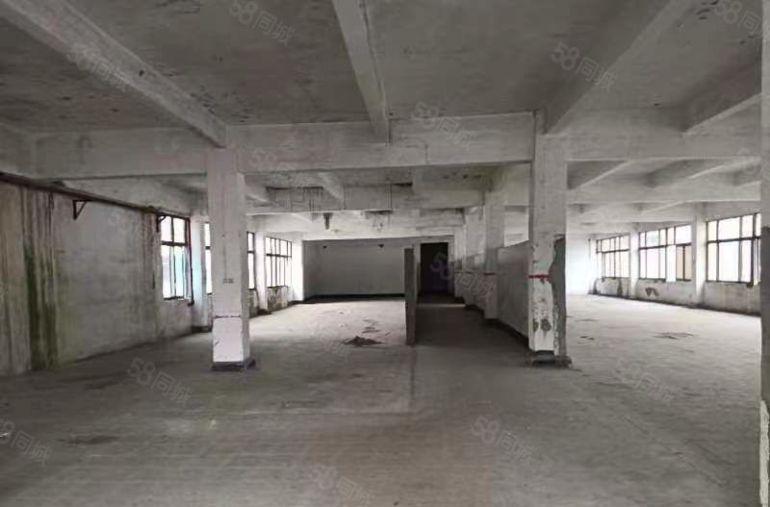 盐田新出原房东小独门独院，工业用地空地大好进拖头适合各行各业