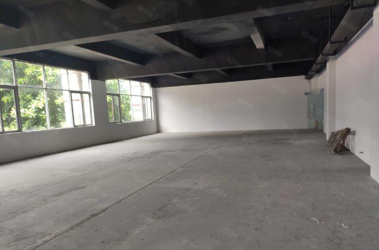 南头同乐园区  80平至450平  层高5米 场地