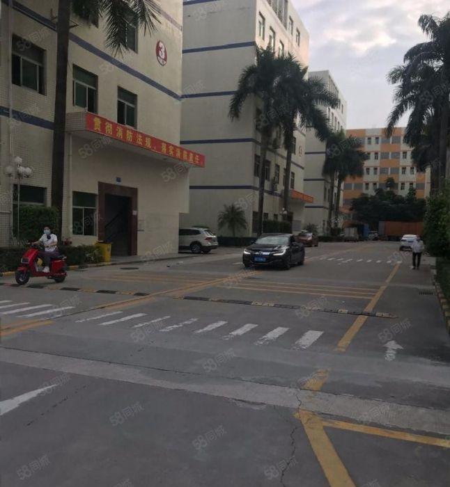 福田八卦岭一手业主200至2000平厂房写字楼仓库招租可分租