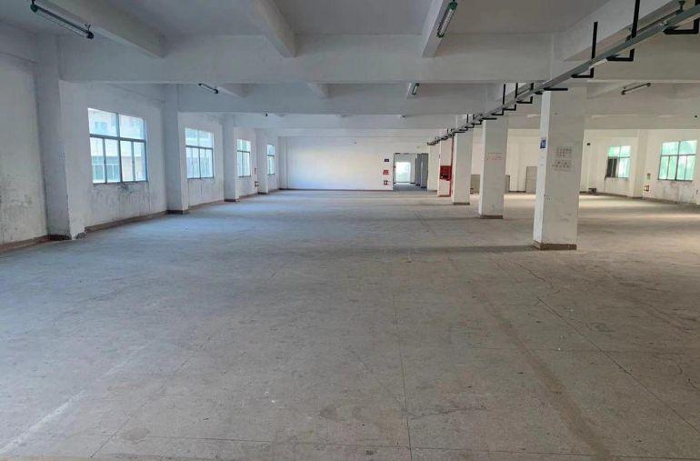 坪山坑梓大窝整层1600平，有多层，可分租，房东直租非中介