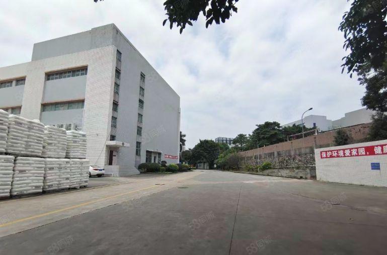 新出红本厂房出租，单层面积4280平方，可分租，多层空置可看