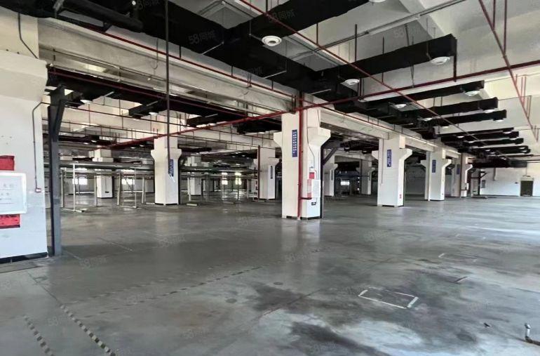 大岭山重工厂房首层9米2高二三楼6米5高招分租面积2700平