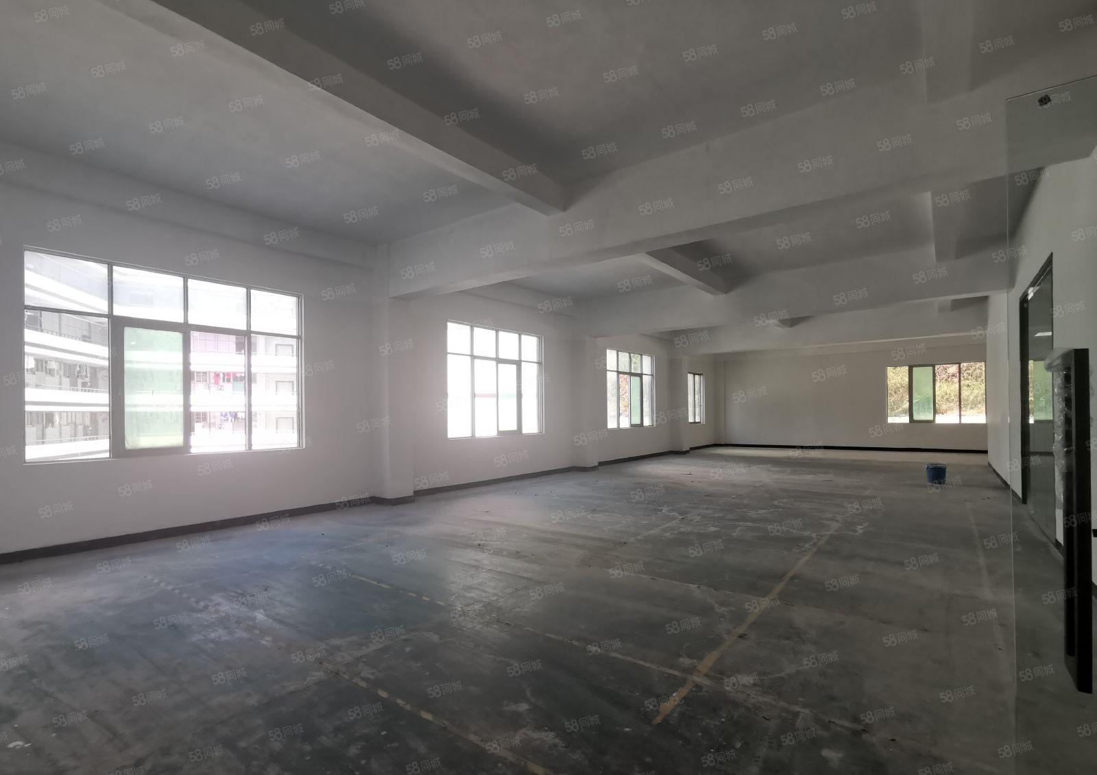 100平起龙华汽车站工业园精装电商办公室一楼仓库厂房出租分租