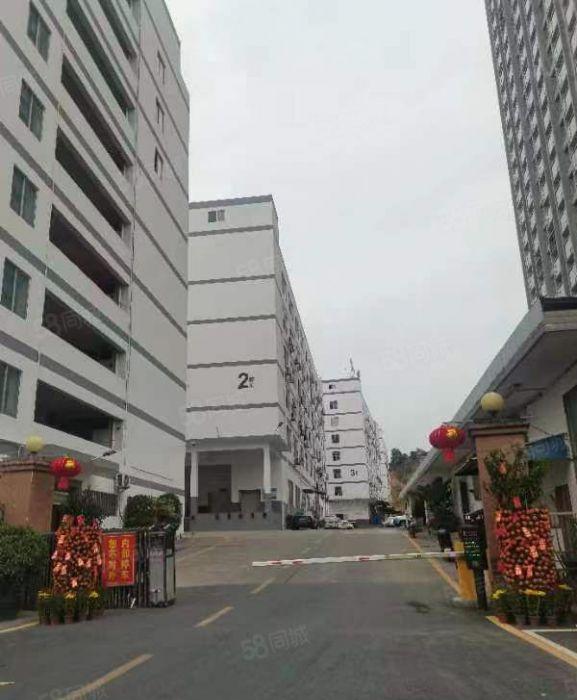 南山西丽街道阳光工业区伟豪科技园业主直租，850平办公厂房研