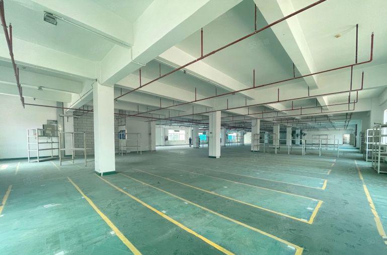 西丽主干道新出1500平红本厂房现成办公出租，500平起租