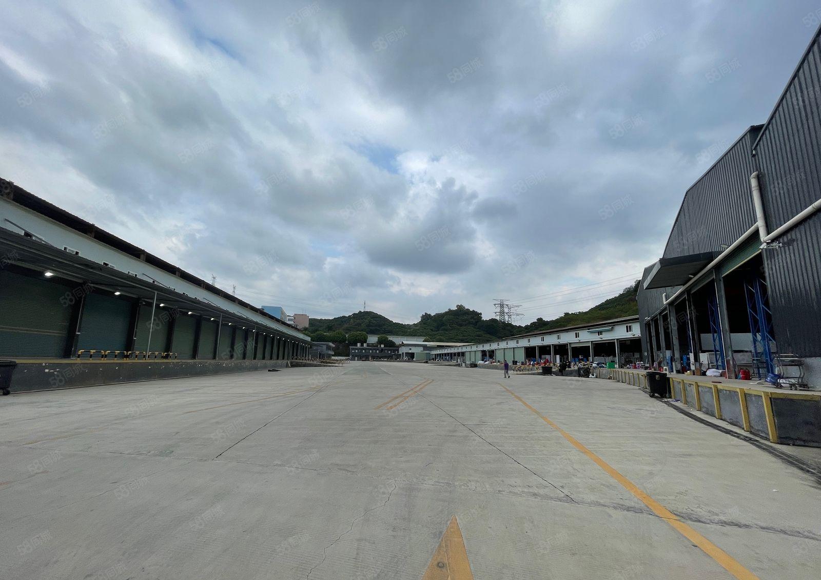 南山西丽新出物流仓库钢构23000平 可分租 消防喷淋