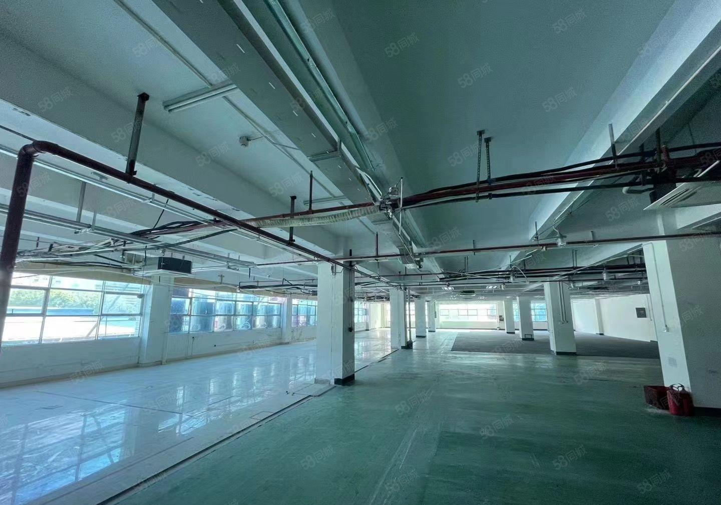 （新盘）西丽高新园区整层厂房可租分租