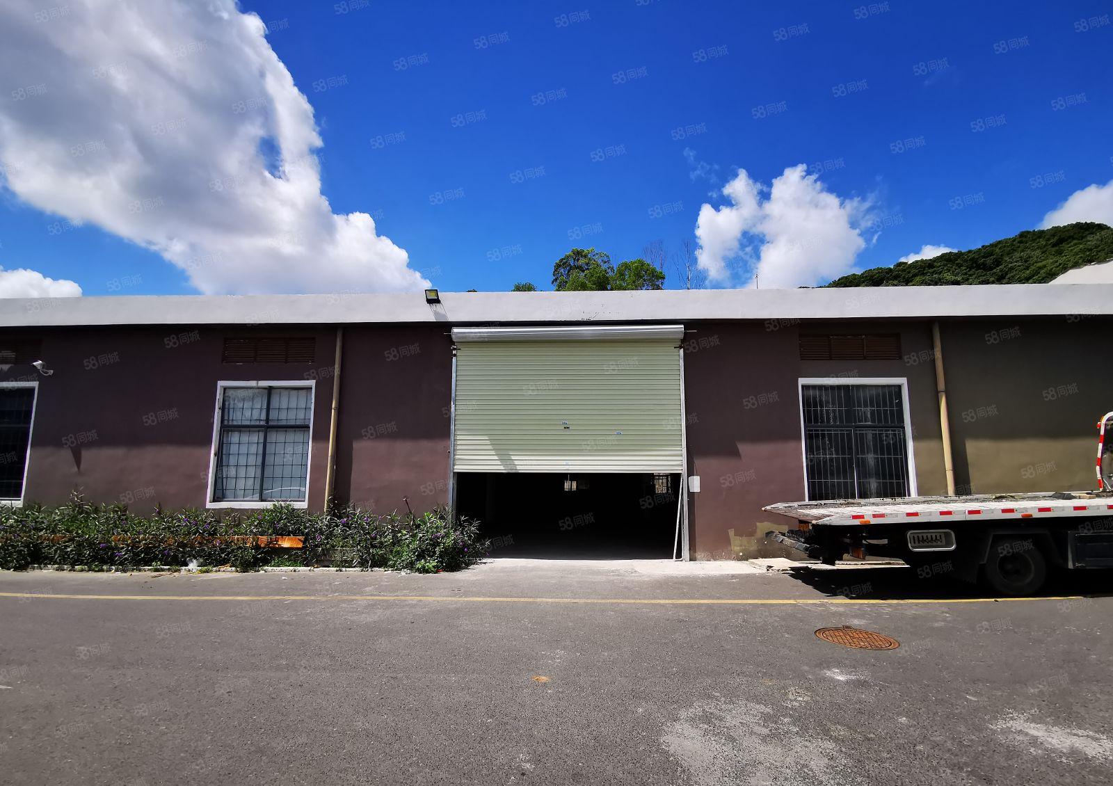 南山西丽 港大深校区附近 独院一楼钢构1100平 环境极好