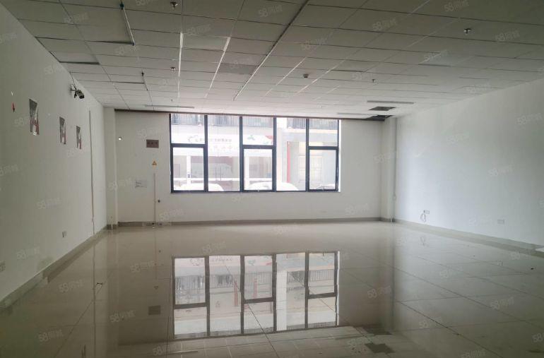 前海赤湾厂房130~2176平可办公生产仓库价格好谈即租即用