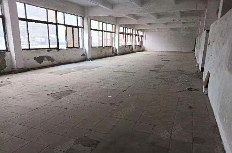 盐田新出原房东小独门独院，工业用地空地大好进拖头适合各行各业