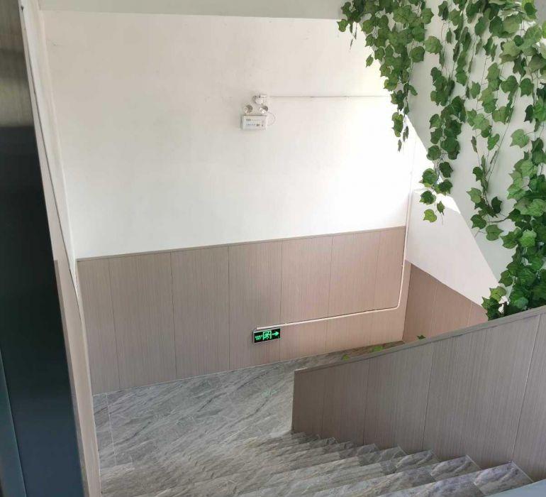 出租龙岗龙岗中心城周边 生产厂房、仓库场地