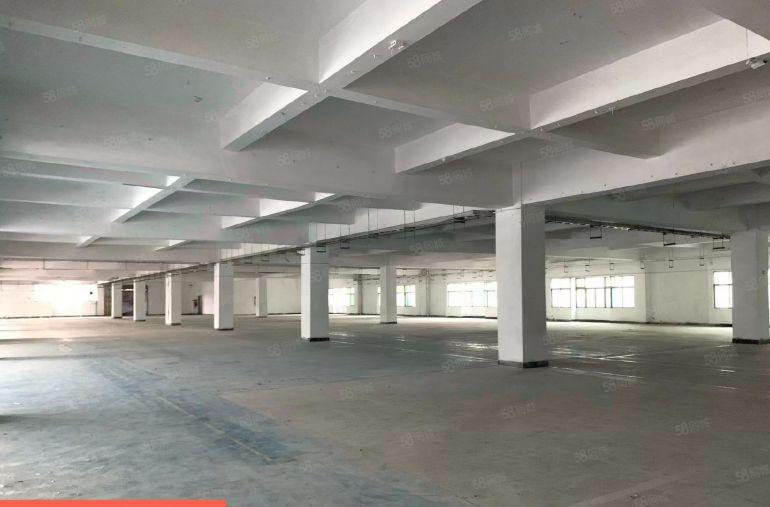 深圳周边大亚湾一楼红本厂房出租可分租现成水电办公室