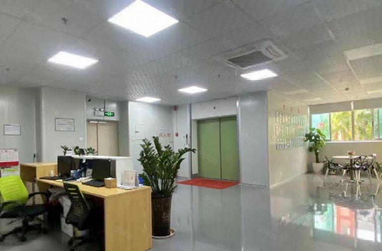 西乡兴东原房东精装修1500平电商贸易仓库厂房出租可分租