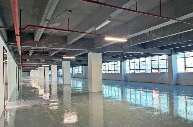 南山西丽高新园 145平至3000平 全新装修可组合租金便宜