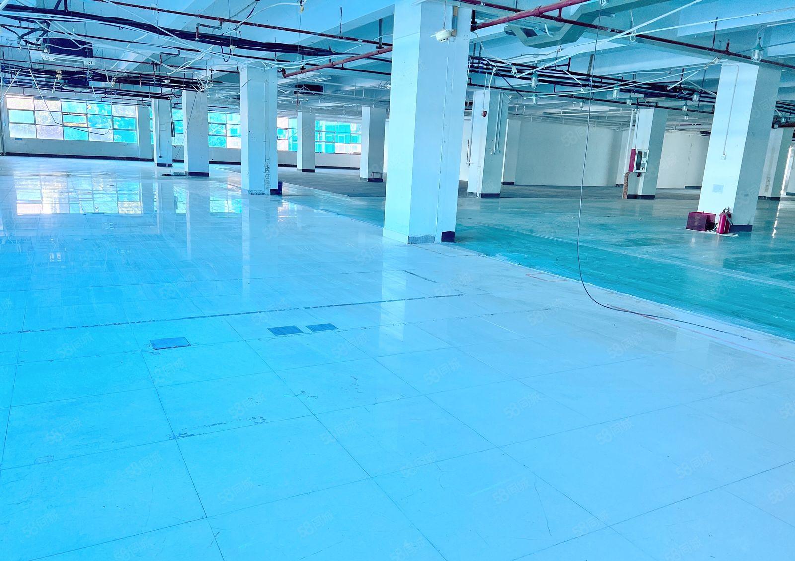 一手直租南山西丽百旺大型工业区 2000平 方正采光好