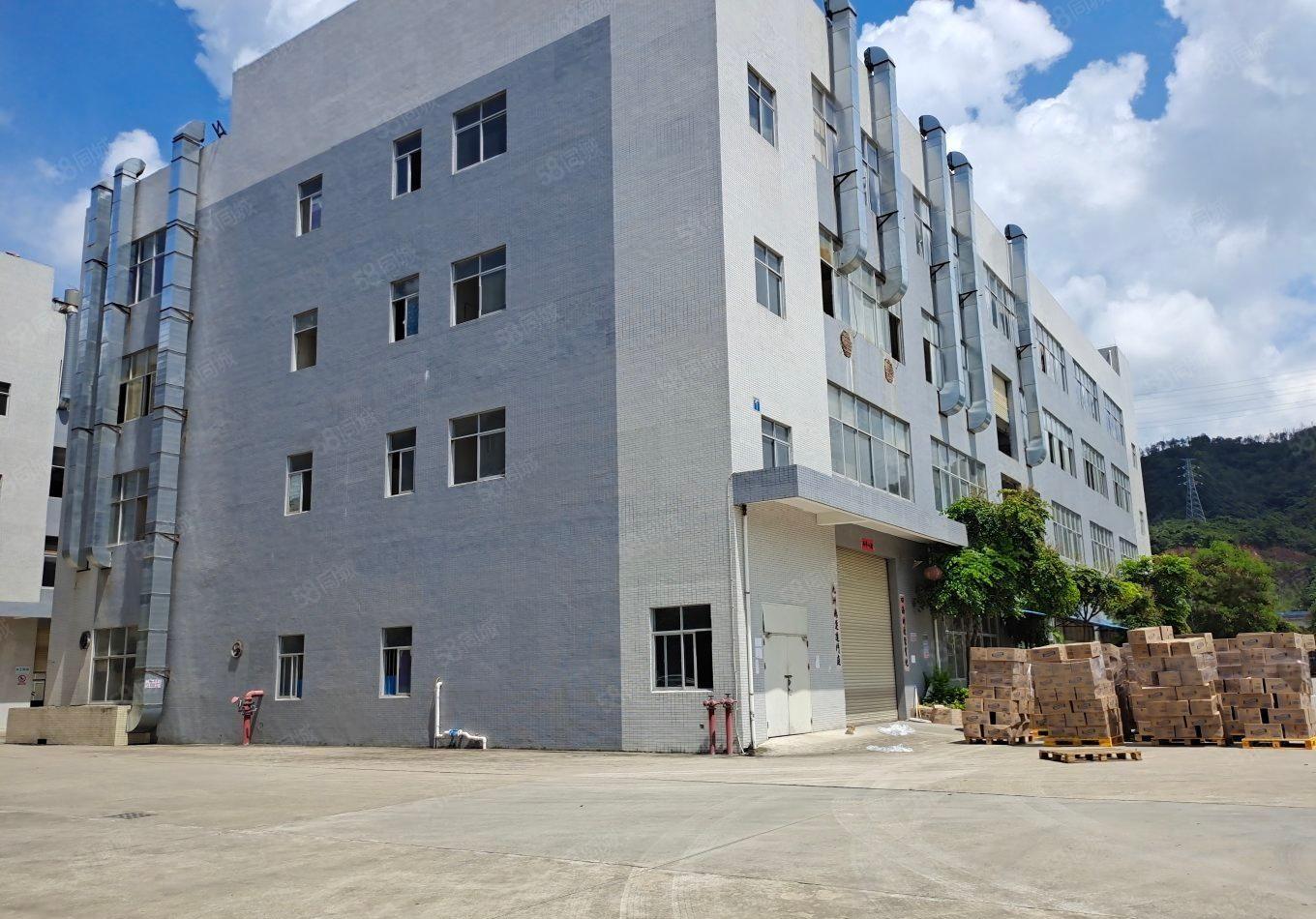 石岩石龙仔精装300平至5000平一楼仓库厂房出租转租分租