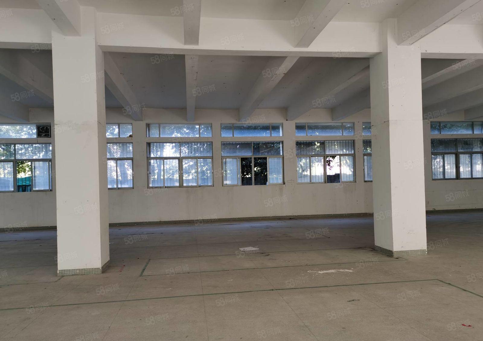 蛇口地铁海上世界地站独门独院3400平出租适合总部办公