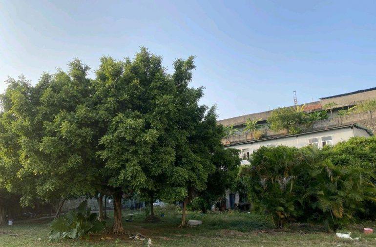 自用厂房分租，环境优美位置临近高速