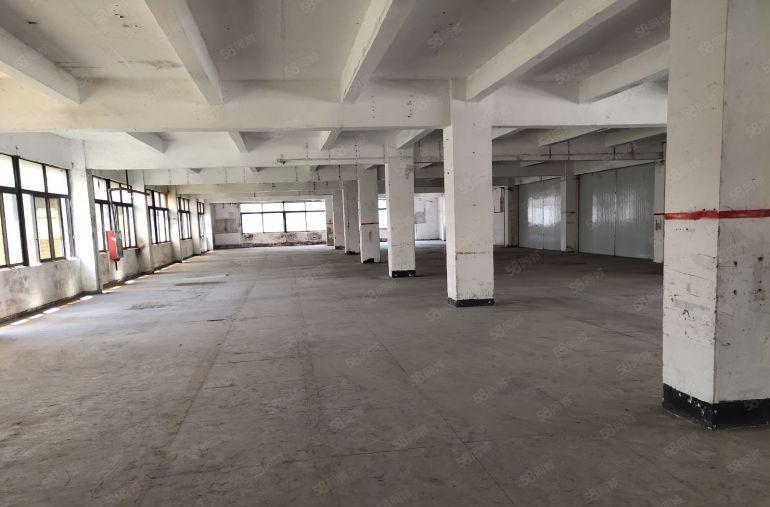 盐田3500平方独院厂房仓库出租大小可分租