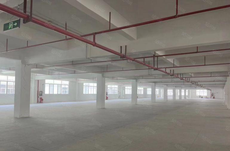 布吉地铁站电商厂房300平500平800平1300平