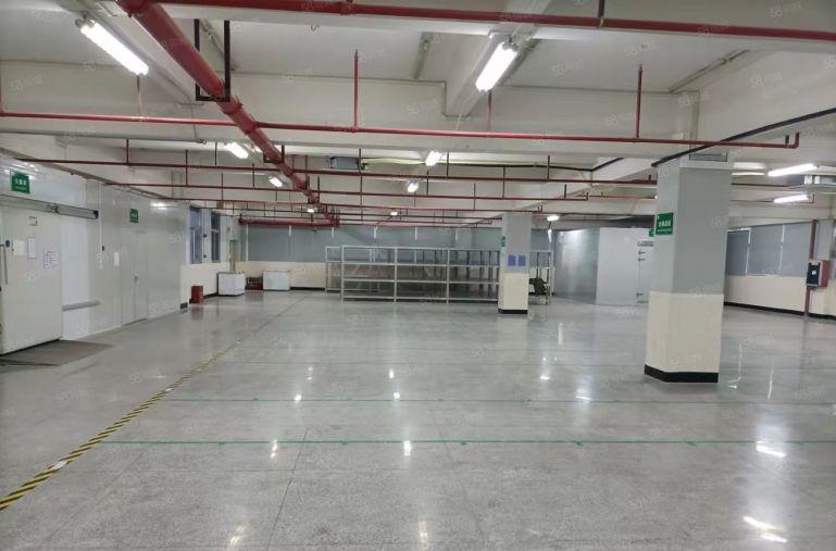 八卦岭工业区 厂房仓库出租100平至2000平