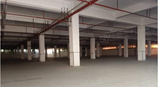 黄江原房东独院厂房5500平方招租花园式无公摊合同期长易招工