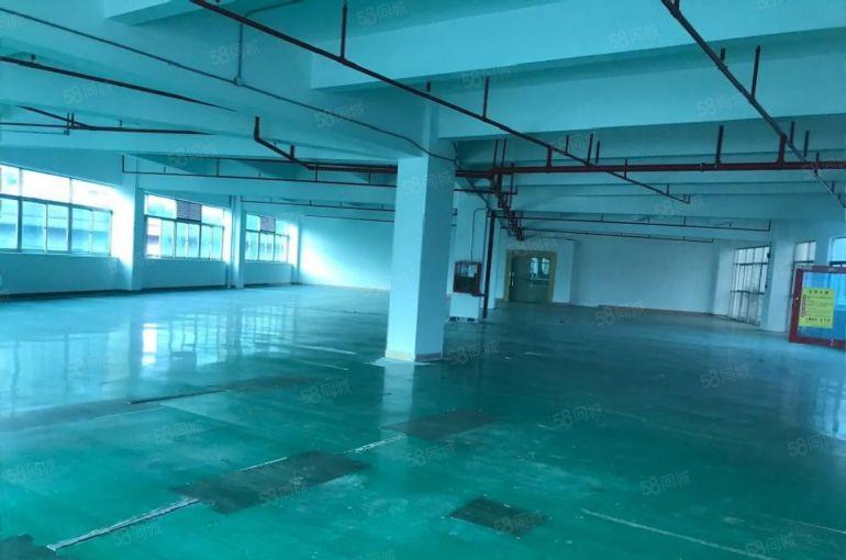 福田八卦岭一手业主200至2000平厂房写字楼仓库招租可分租